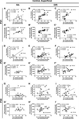 Retinal microglia protect against vascular damage in a mouse model of retinopathy of prematurity